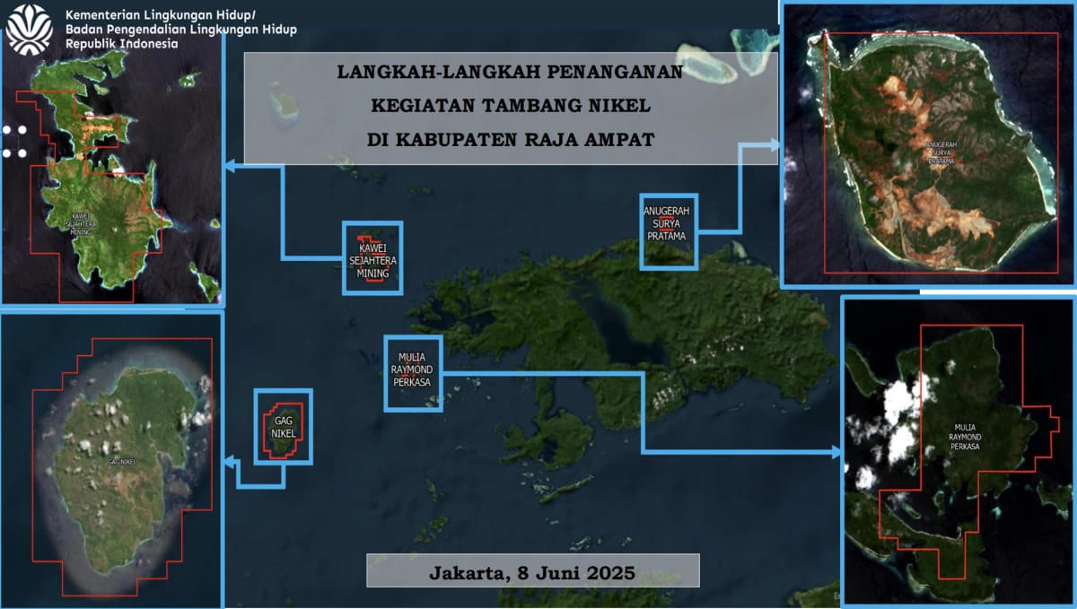 Menteri LH Tindak Tegas Tambang Nikel di Raja Ampat: Lindungi Pusat Keanekaragaman Hayati Dunia