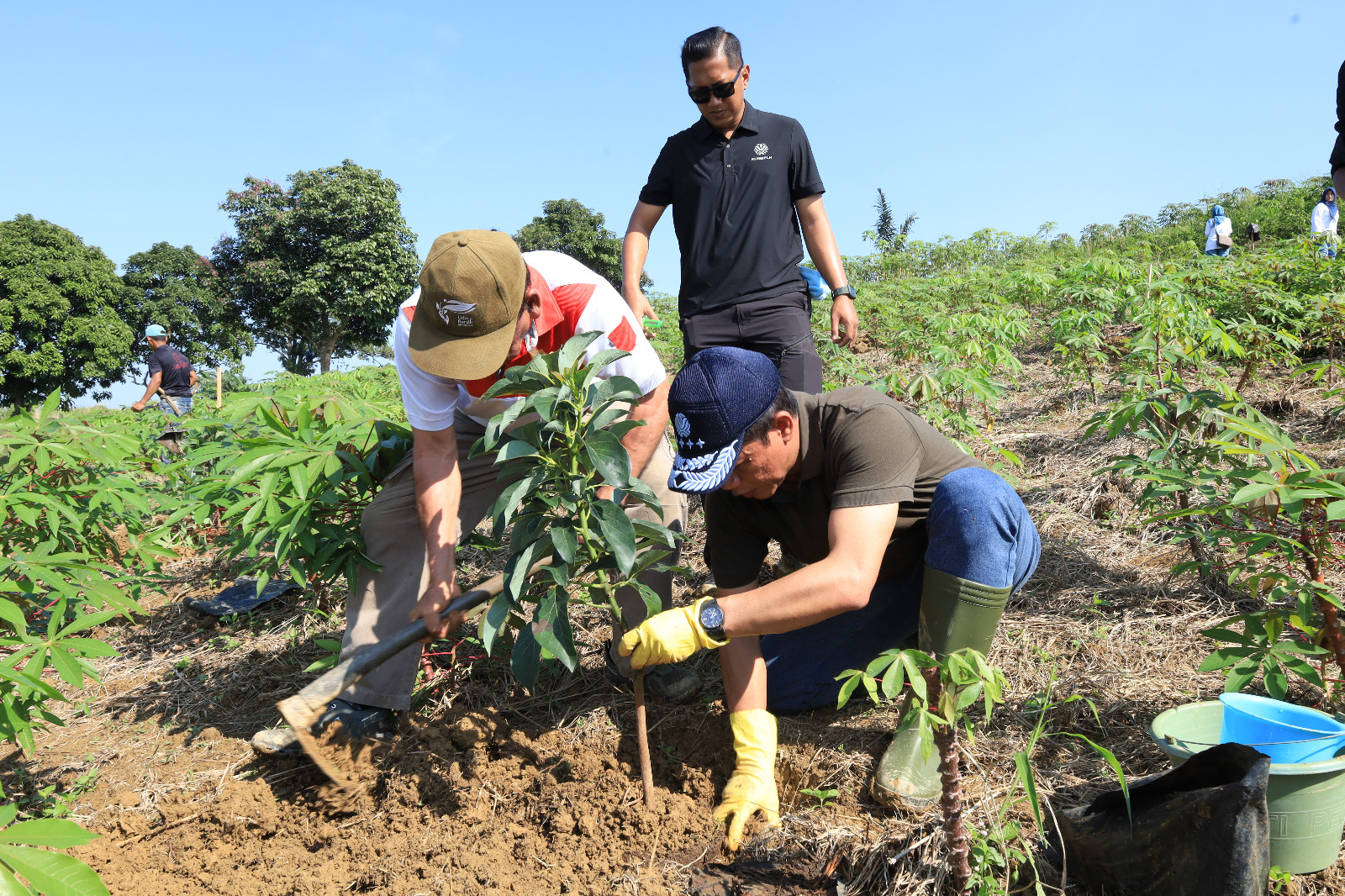 KLH/BPLH Tanam Solusi: Menteri LH Tegaskan Aksi Tanam Pohon Produktif Delegasi COP30 untuk Imbangi Emisi Penerbangan